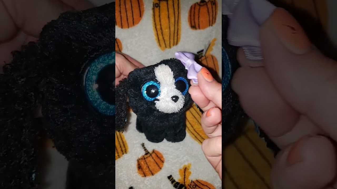 When Tracey only likes blue bows 😄 #beanieboo #shorts #matrix #funny