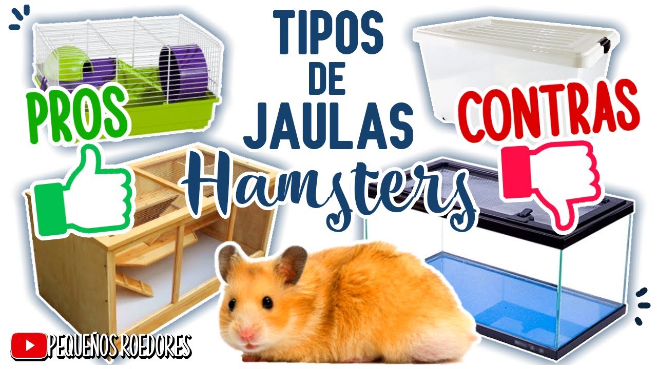 TIPOS de JAULAS para HAMSTER - TODO LO QUE DEBES SABER!