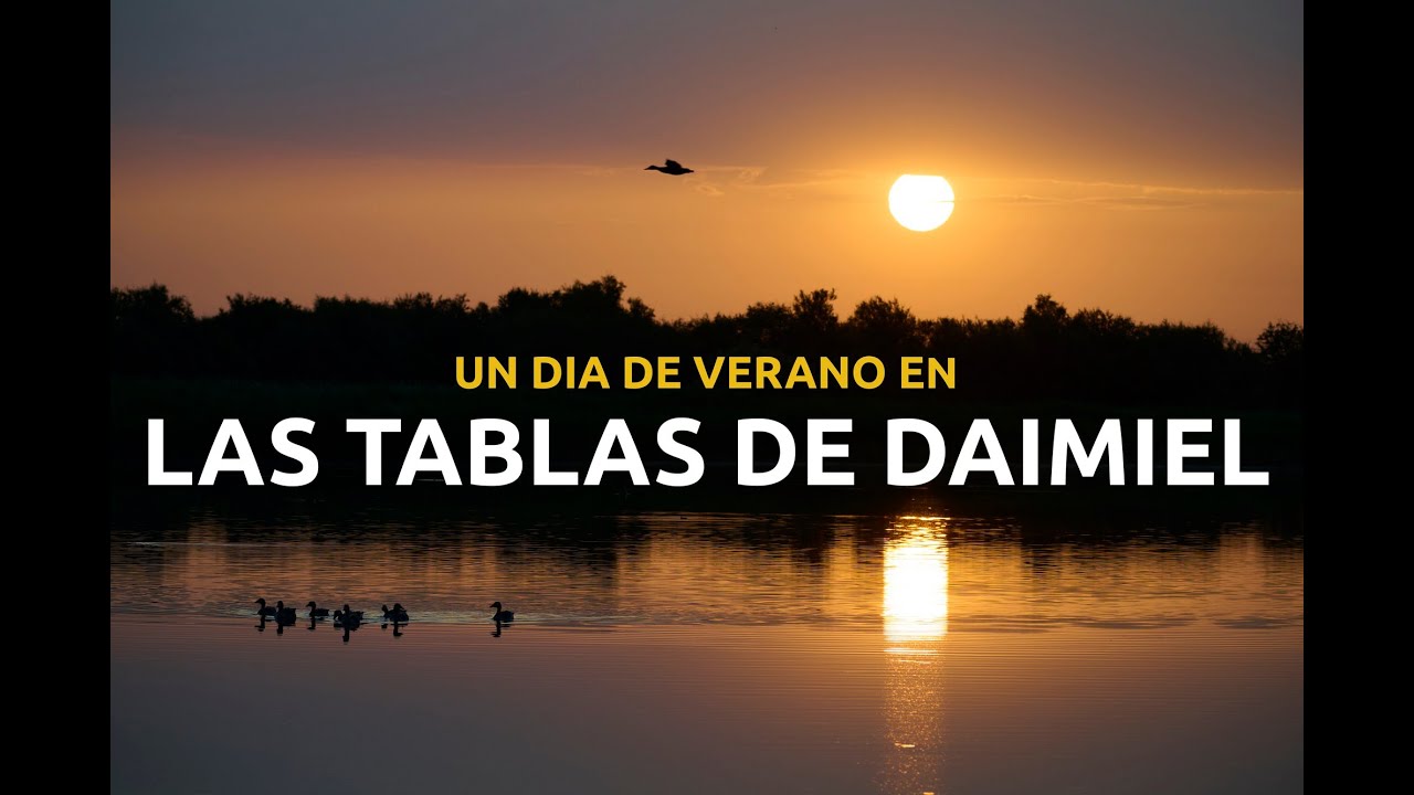 Un día de verano en las Tablas de Daimiel