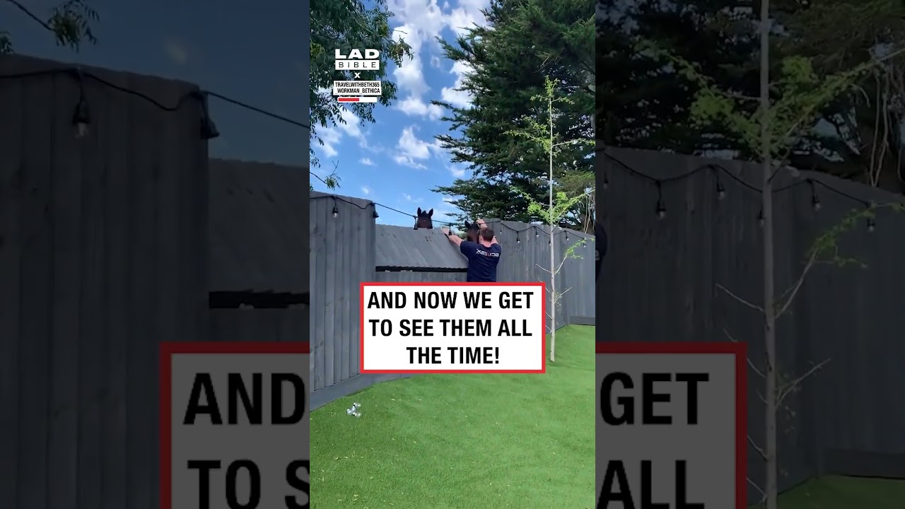 Our NEIGHbours are the best 😅 (🎥: IG/ travelwithbeth365 x _workman_bethica)