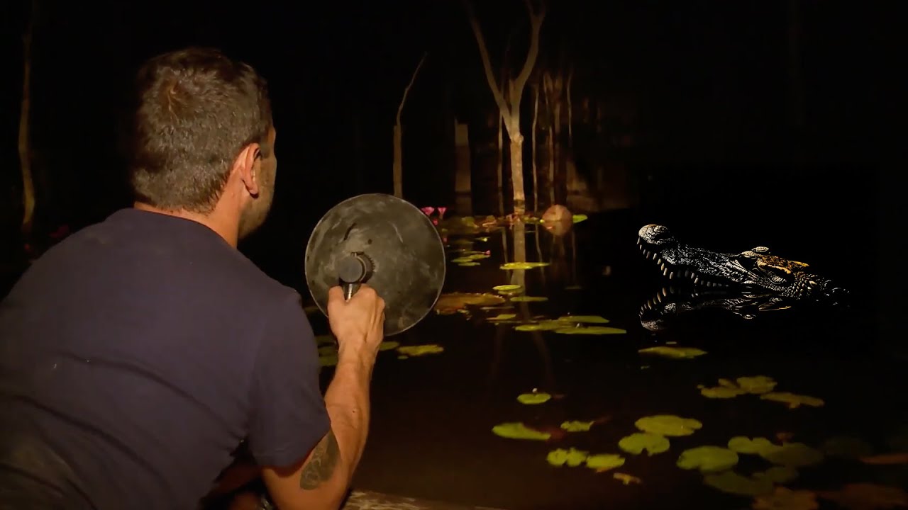 Hunting for a Killer Crocodile at NIGHT 😳🌕🐊