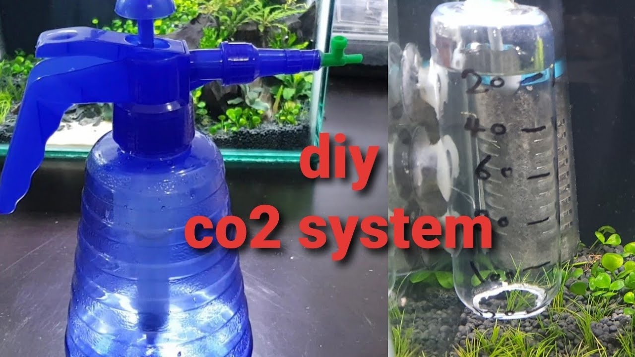 diy co2 system for nano tank عمل منظومة غاز co2  لأحواض النانو  النباتية