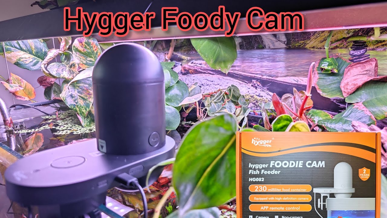 Hygger Foodie Cam HG082 - Unboxing, Aufbauanleitung und Test
