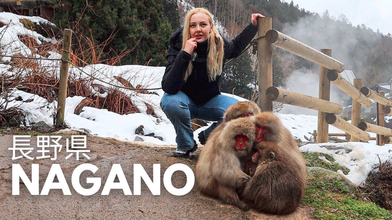 Winter trip to NAGANO, JAPAN | Hot spring snow monkeys ❄️