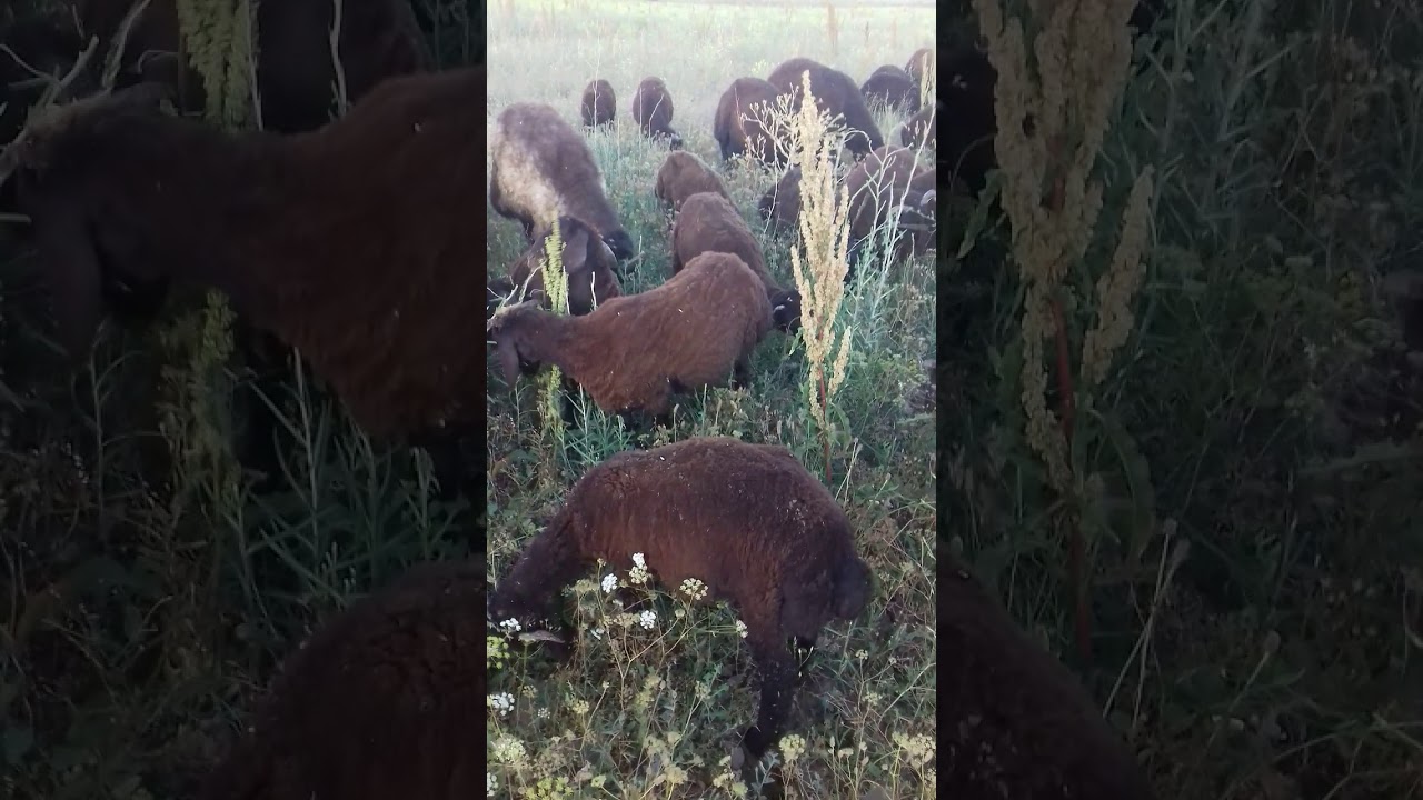 9 Ağustos 2019