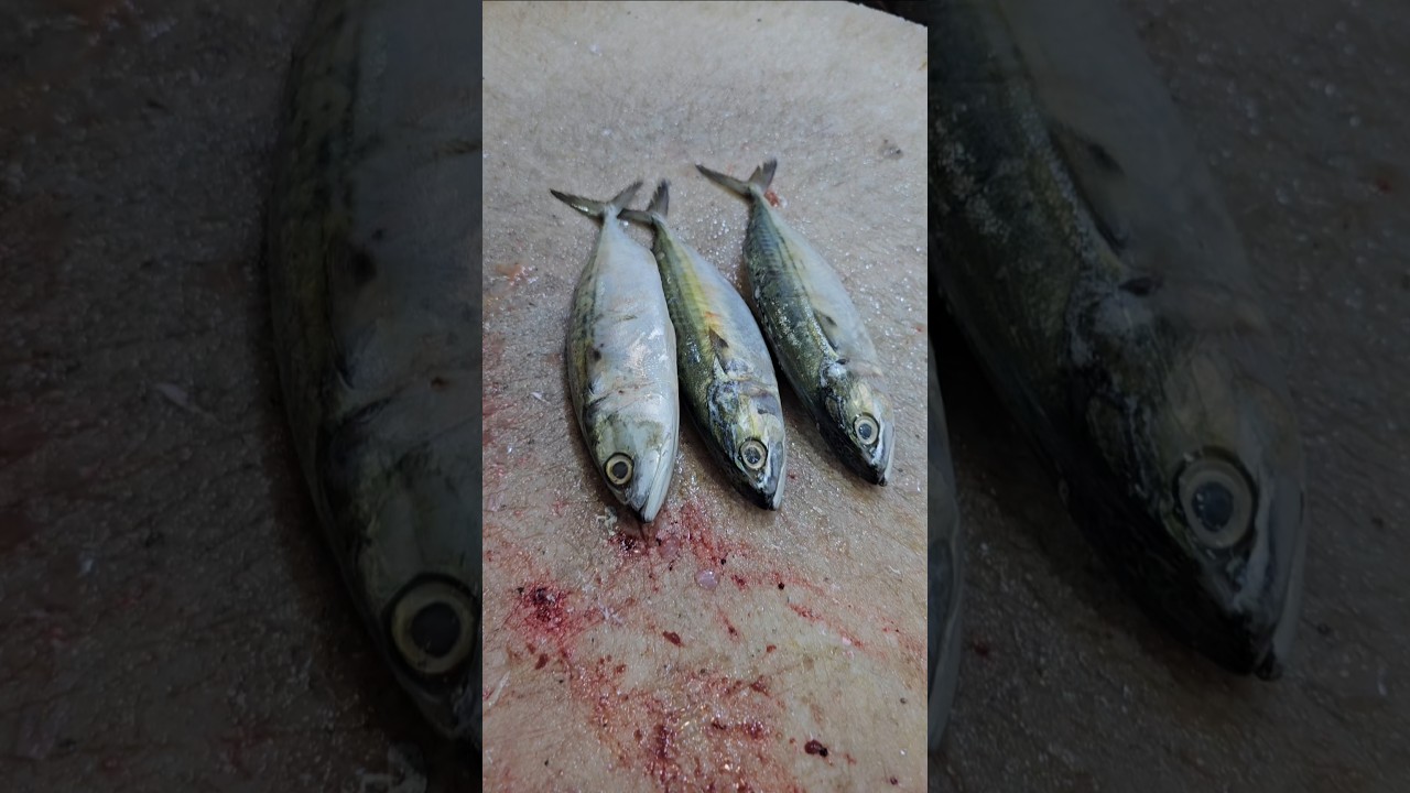 Mackerel Fish Clening Skills#shorts