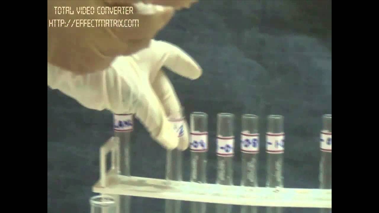 RNA Estimation by Orcinol Method