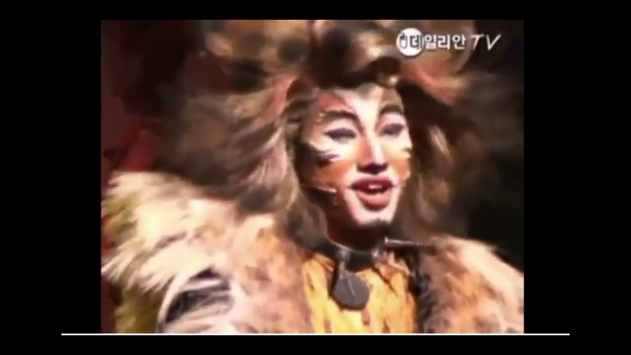 South Korea 2008 'Cats' Musical || RUM TUM TUGGER clip (DAESUNG)