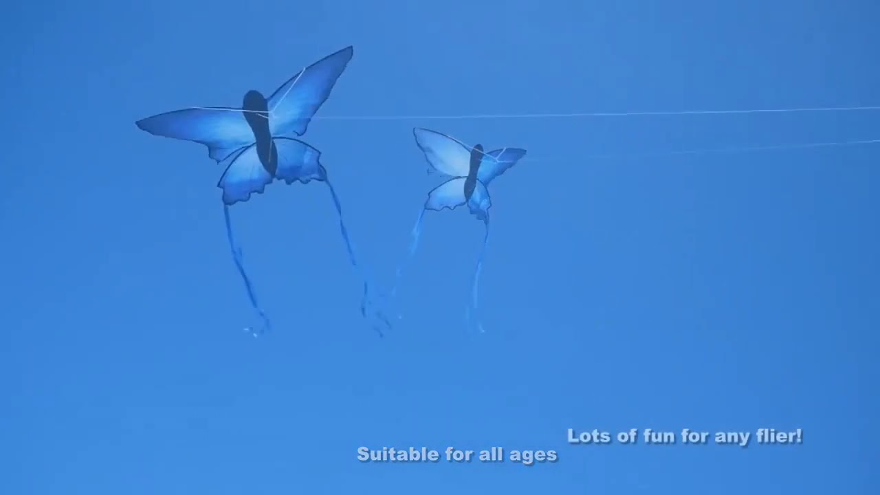 HengDa best selling blue butterfly kite
