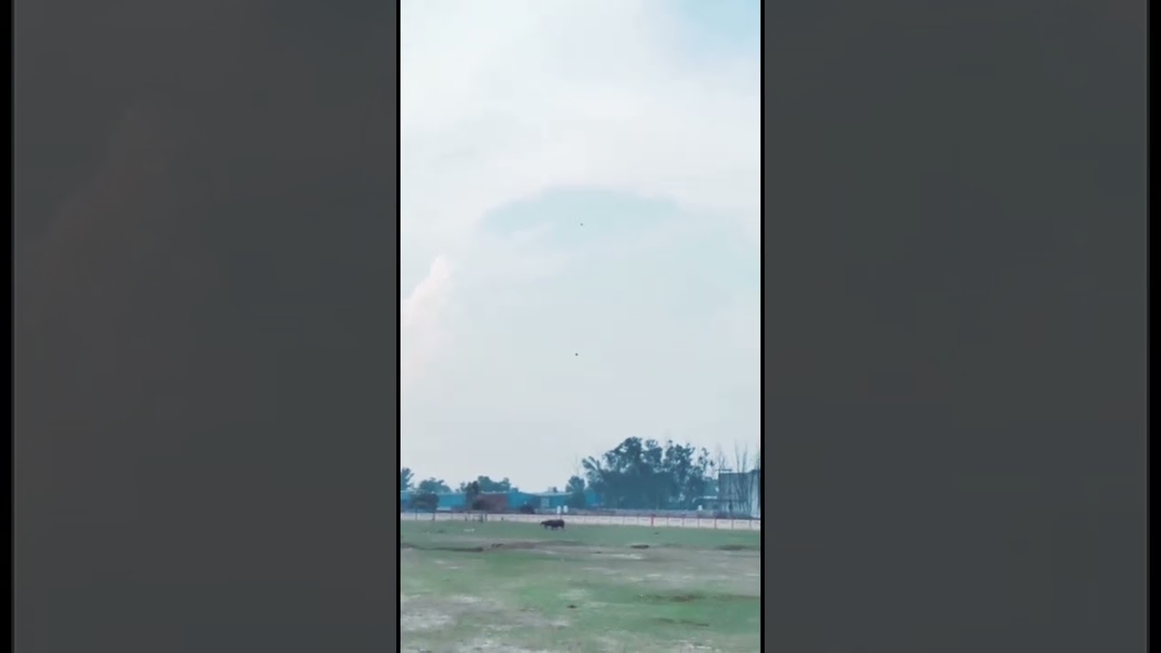 #kite #lucknow guddi fighting,#kite fighting,lucknow patangbazi,#club kite fighting,guddi fighting,#