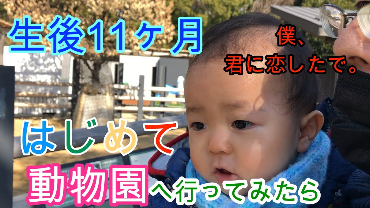 【生後11ヶ月赤ちゃん】赤ちゃんとお出かけ！初めて動物園へ行くの巻｜Going out to the zoo for the first time with a 11 month old baby！