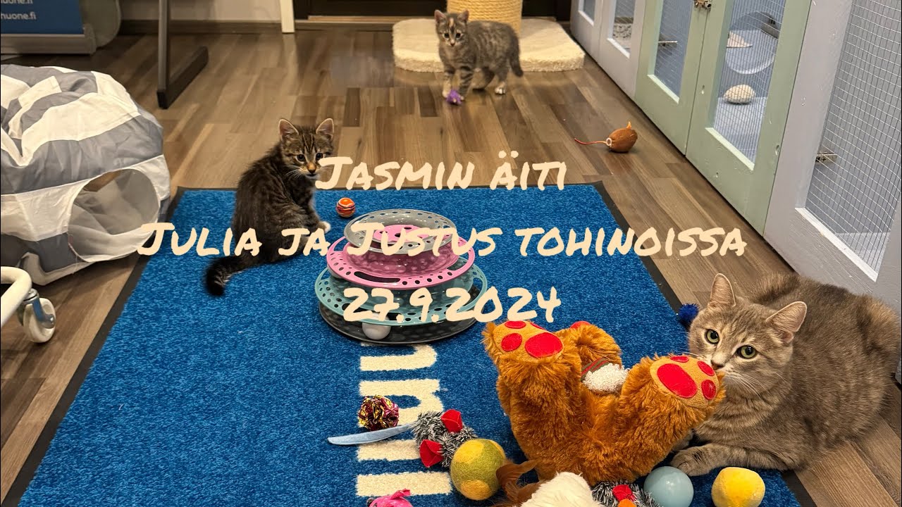 Julia, Justus sekä Äiti kissa Jasmin 27.9.2024💕