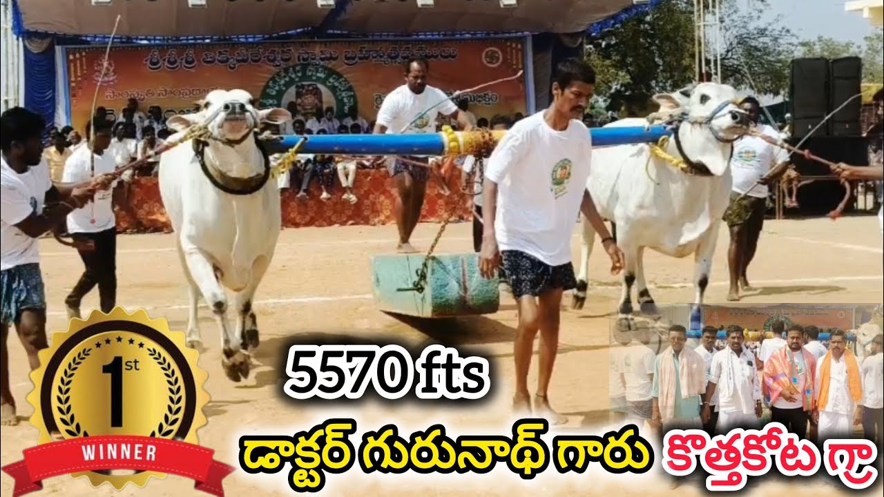 అయిజ న్యూ క్యాటగిరి విభాగం 5వ  జత. డాక్టర్ గురునాథ్ గారు.మొదటి బహుమతి 🥰🥰🥰.