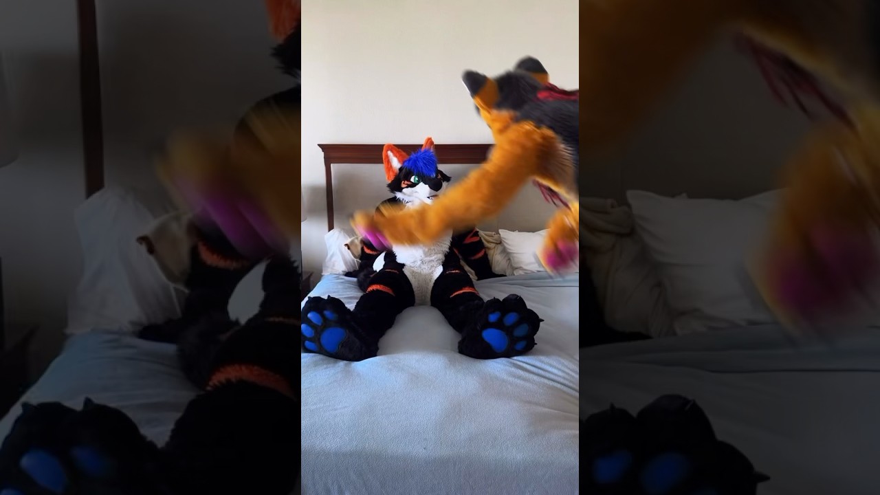Better run! Incoming cuddles.#Furry #TikTok #Cuddles🐺🧵: @WildDogWorks