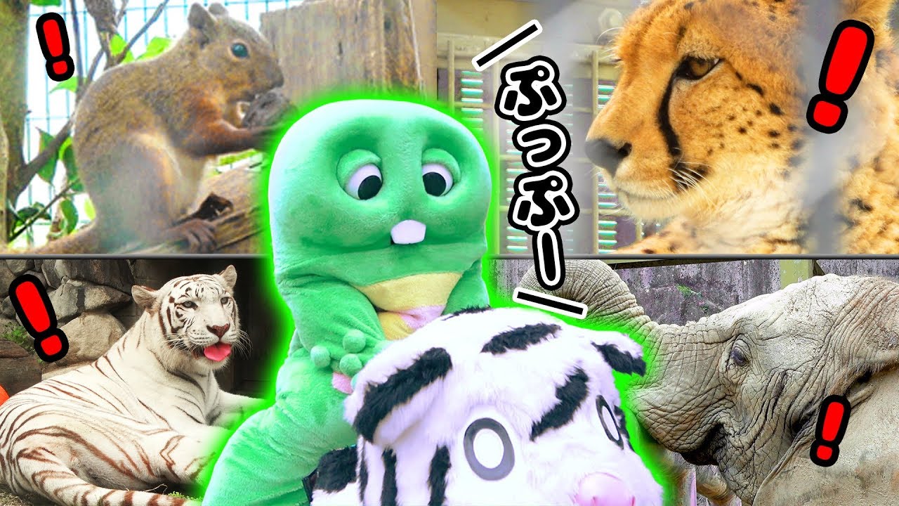 【重大発表アリ！】どうぶつえんにあそびにいったよ。〜東武動物公園 Tobu Animal Park〜【ぞうさん】【フラミンゴ】【ホワイトタイガー】
