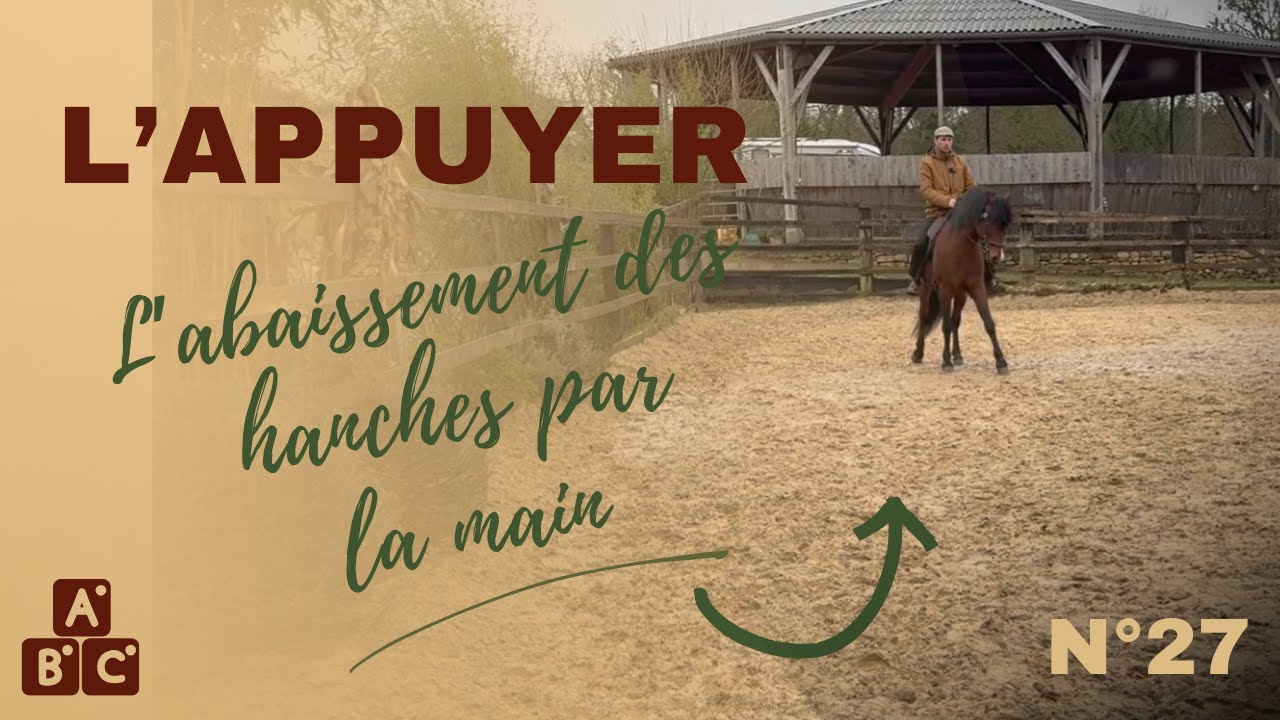 ⭐ Comprendre l&rsquo;appuyer : &eacute;quilibre, hanches et l&eacute;g&egrave;ret&eacute; du cheval⭐