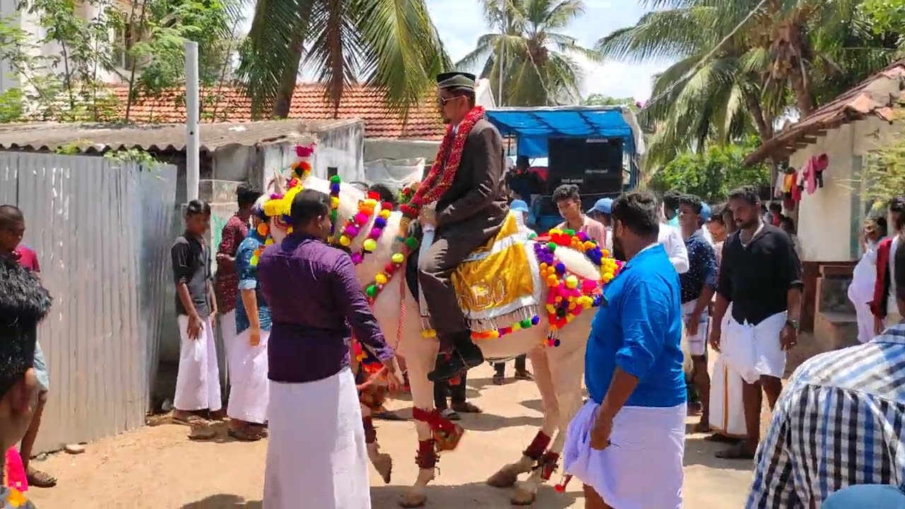 ms horse dance mimisal