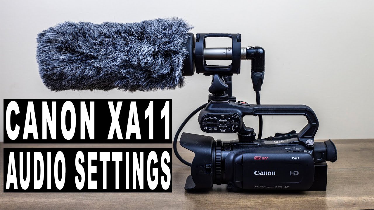 🎥Обзор звука и настройки звука CANON XA11