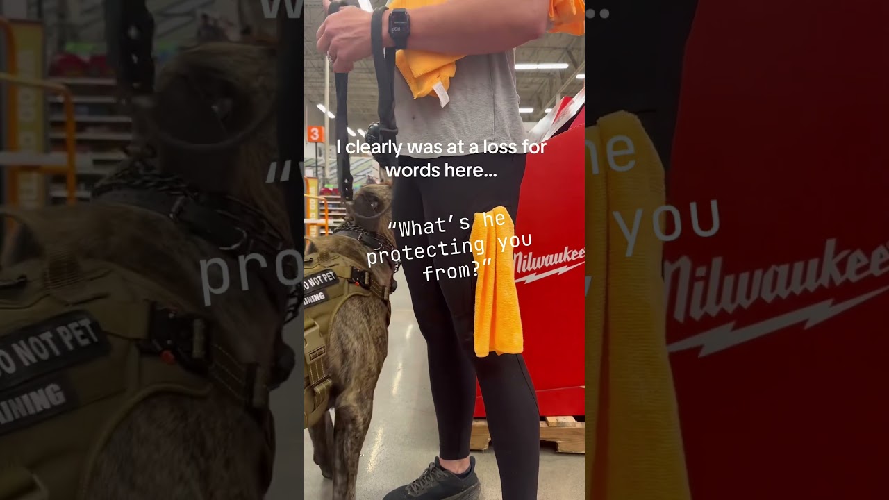 Women's Safety & Protection Dogs: A Must in Today&rsquo;s World #womensafety