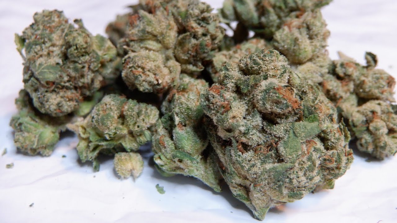 Strain Review Jet Fuel Gelato By Pure Sunfarms