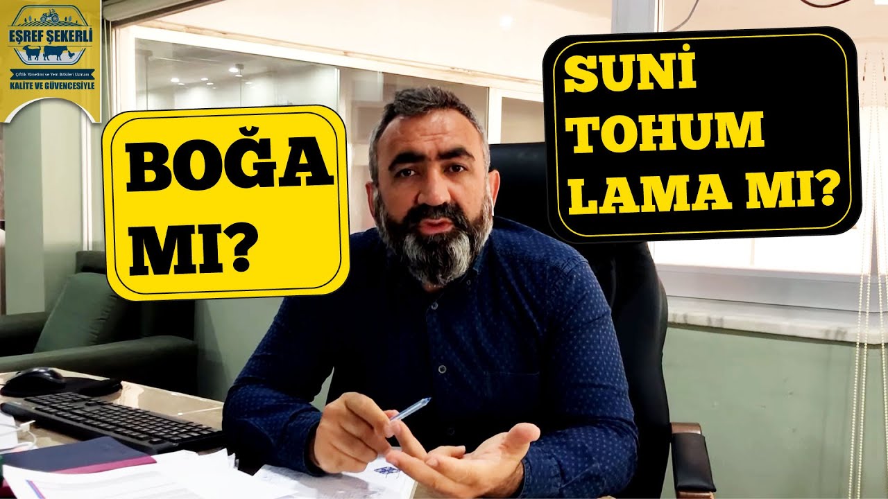 Boğa mı Suni Tohumlama mı?