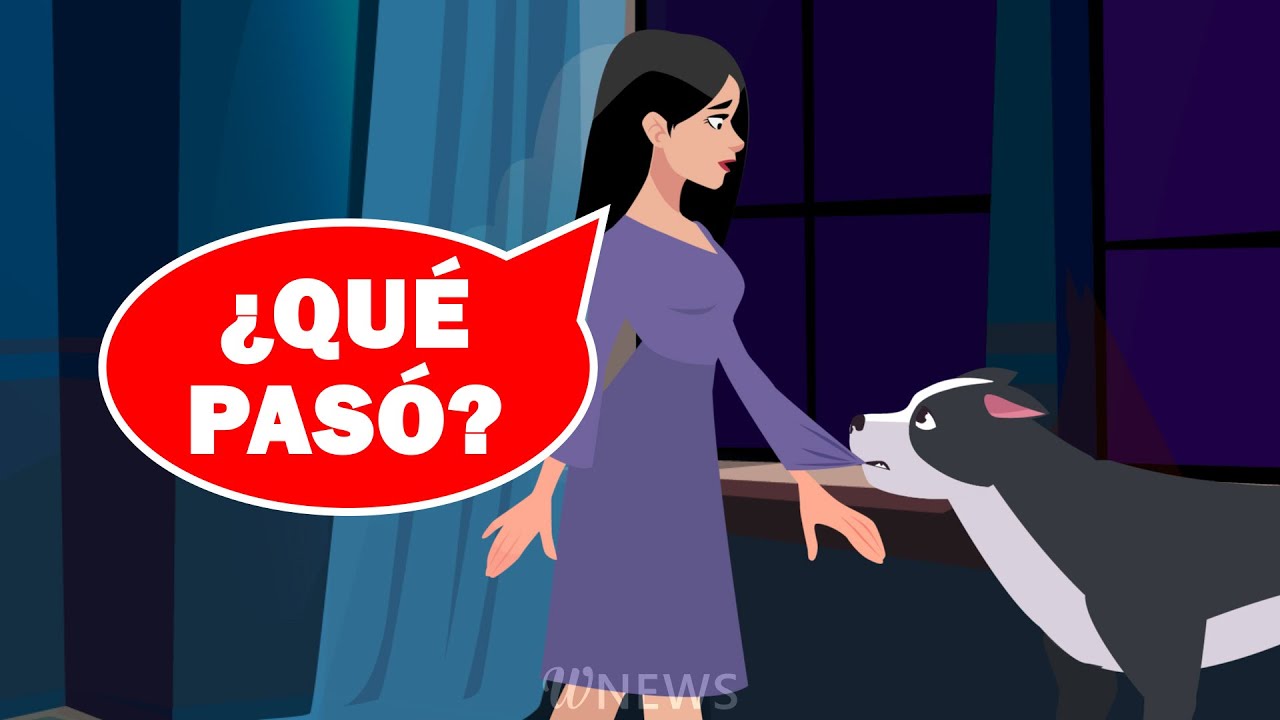 Conmovedora historia: mi perro resultó ser un verdadero héroe