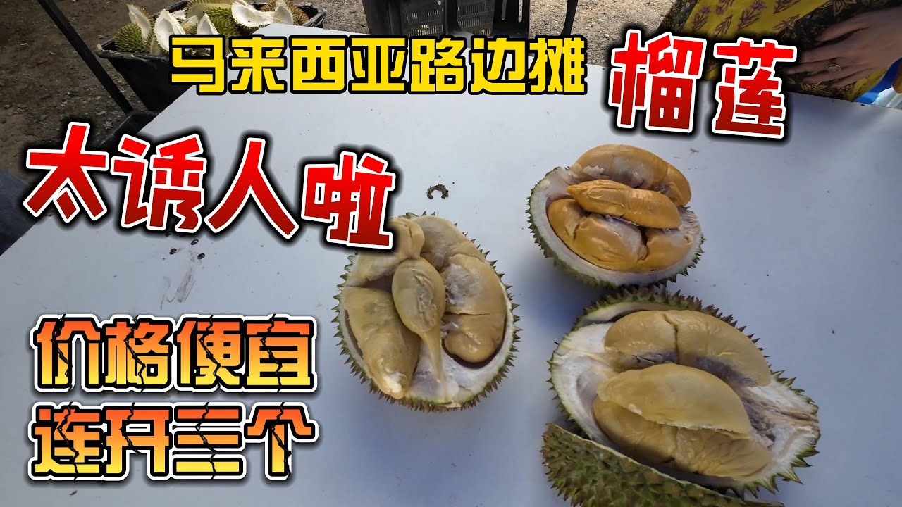 马来西亚路边摊榴莲，太诱人了，价格便宜连开3个，一群人吃爽了
