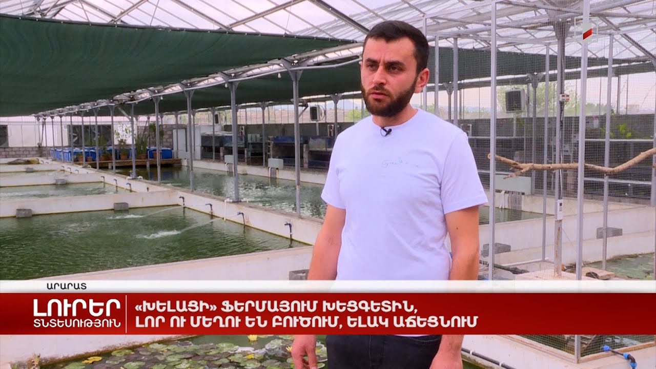 «Խելացի» ֆերմայում խեցգետին, լոր ու մեղու են բուծում, ելակ աճեցնում