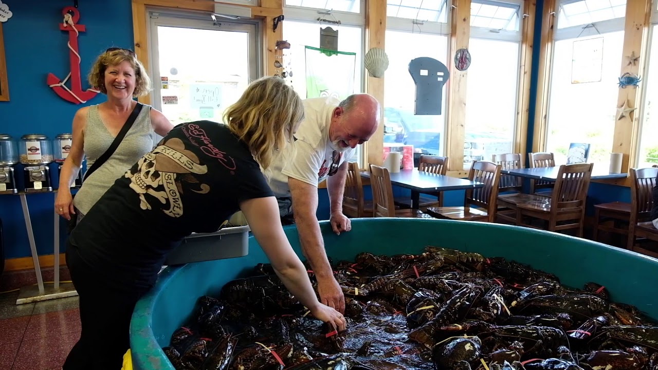 Bay Of Fundy National Park RV Camping LOBSTER COOKOUT!