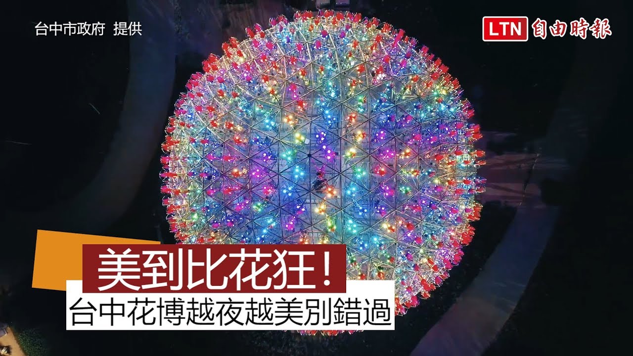 美到比花狂！ 台中花博越夜越美別錯過