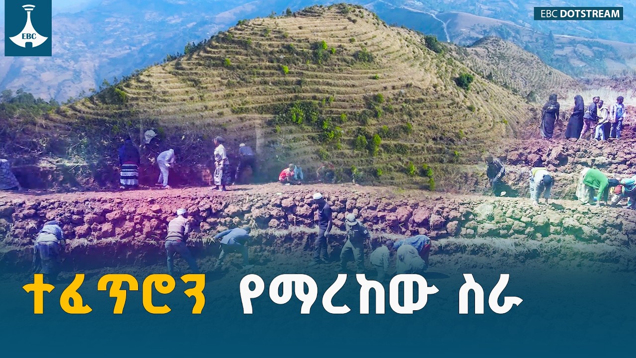 የአረንጓዴ ኢኮኖሚ ጉዞ -አረንጓዴ አሻራ-ማዕከላዊ ኢትዮጵያ ETV | EBC | EBCDOTSTREAM