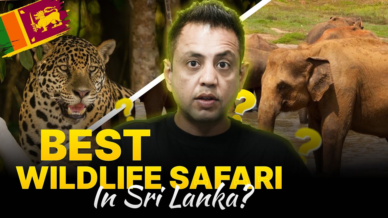 UDAWALAWE or YALA: Which is the best JUNGLE SAFARI in SRI LANKA? 🇱🇰