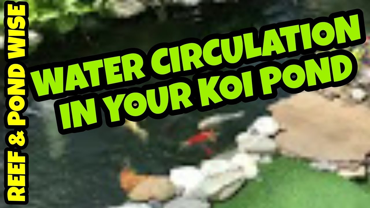 Water CIRCULATION in koi POND.
