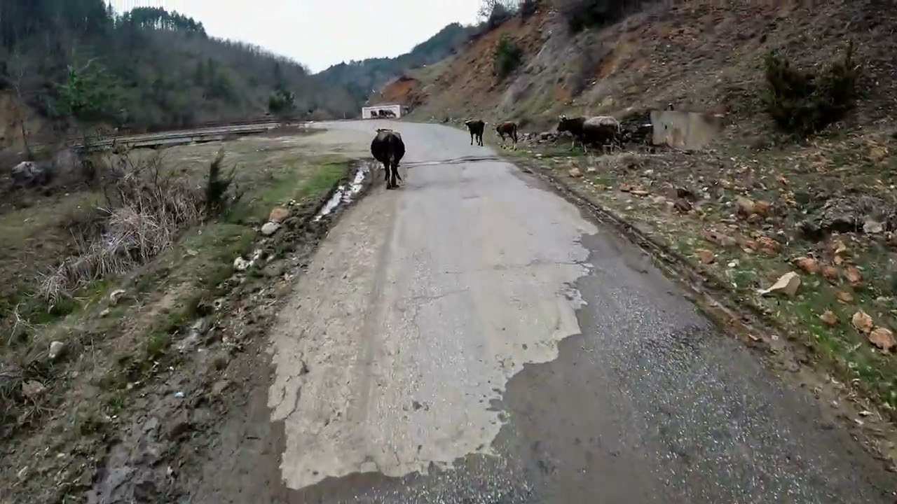 Скалак 30 03 2022