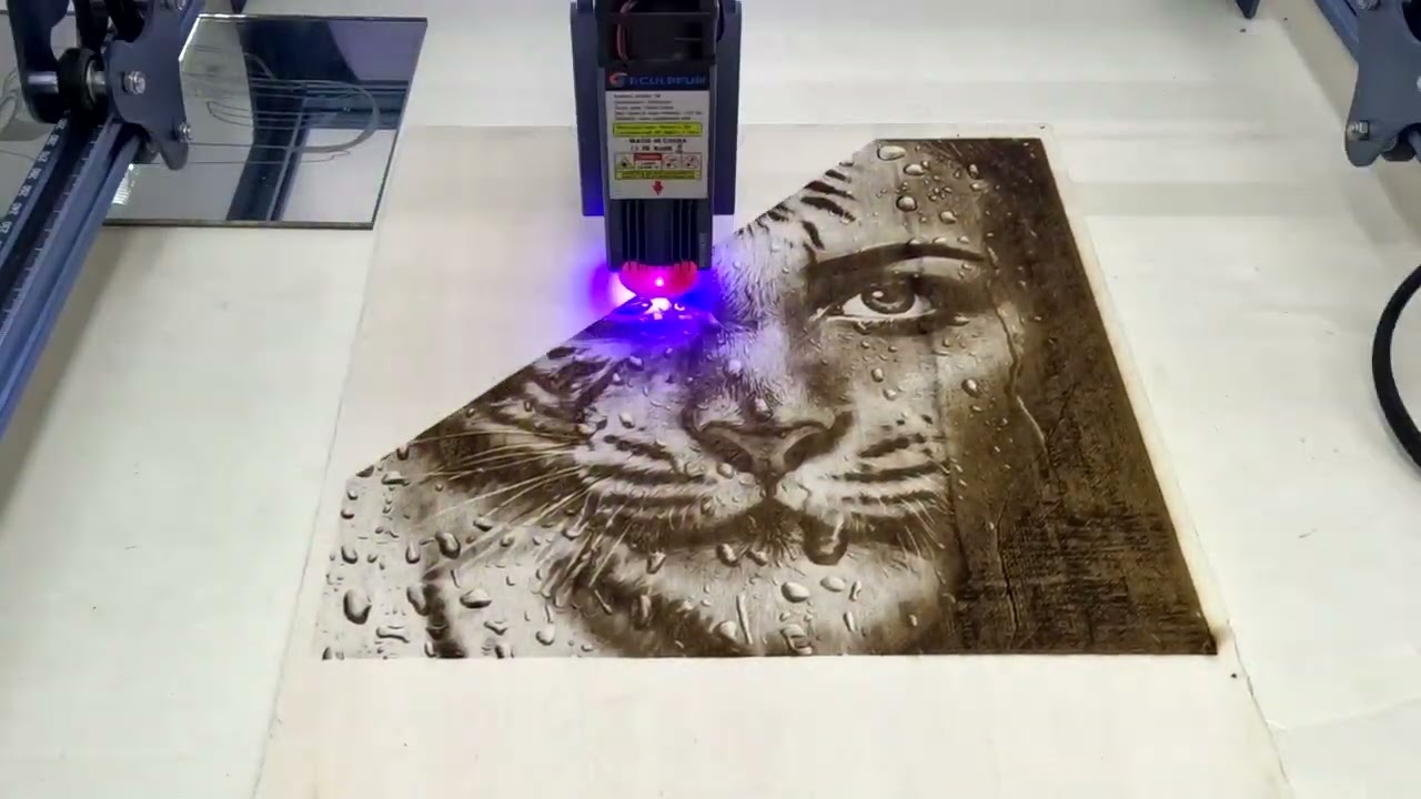 Amazing SCULPFUN S9  Laser Engraving Machine