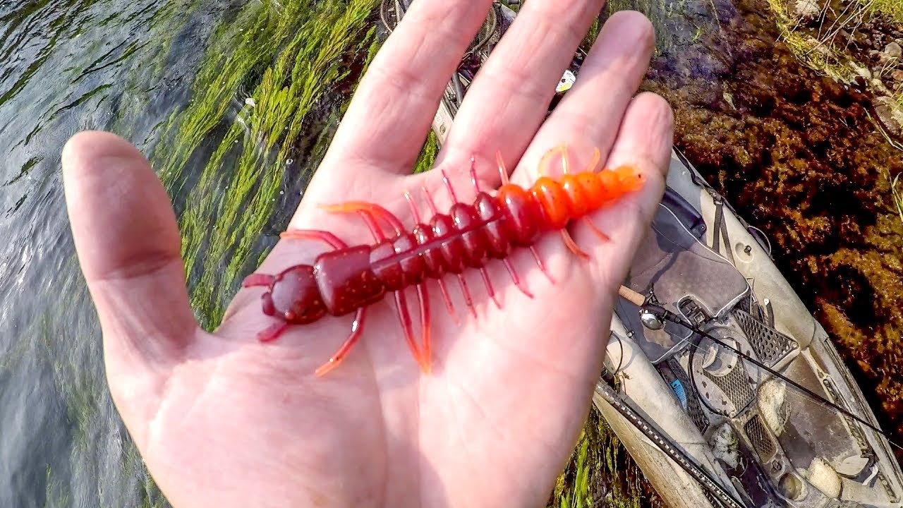 Bass Love Hellgrammites!