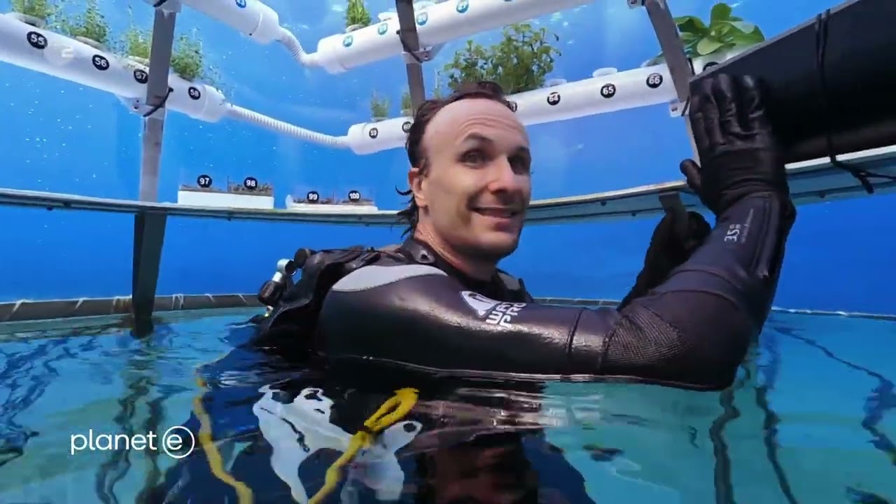 Nemo's Garden on ZDF Planet-e (German television)