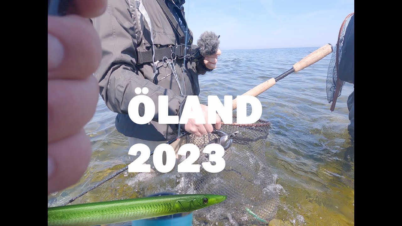 Havørred tur til öland 2023