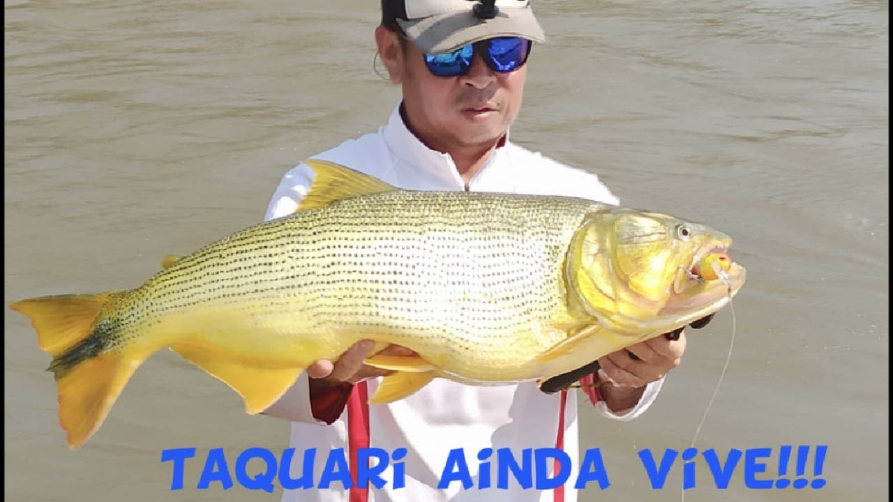 Pescaria em Coxim! Será que ainda tem peixes?