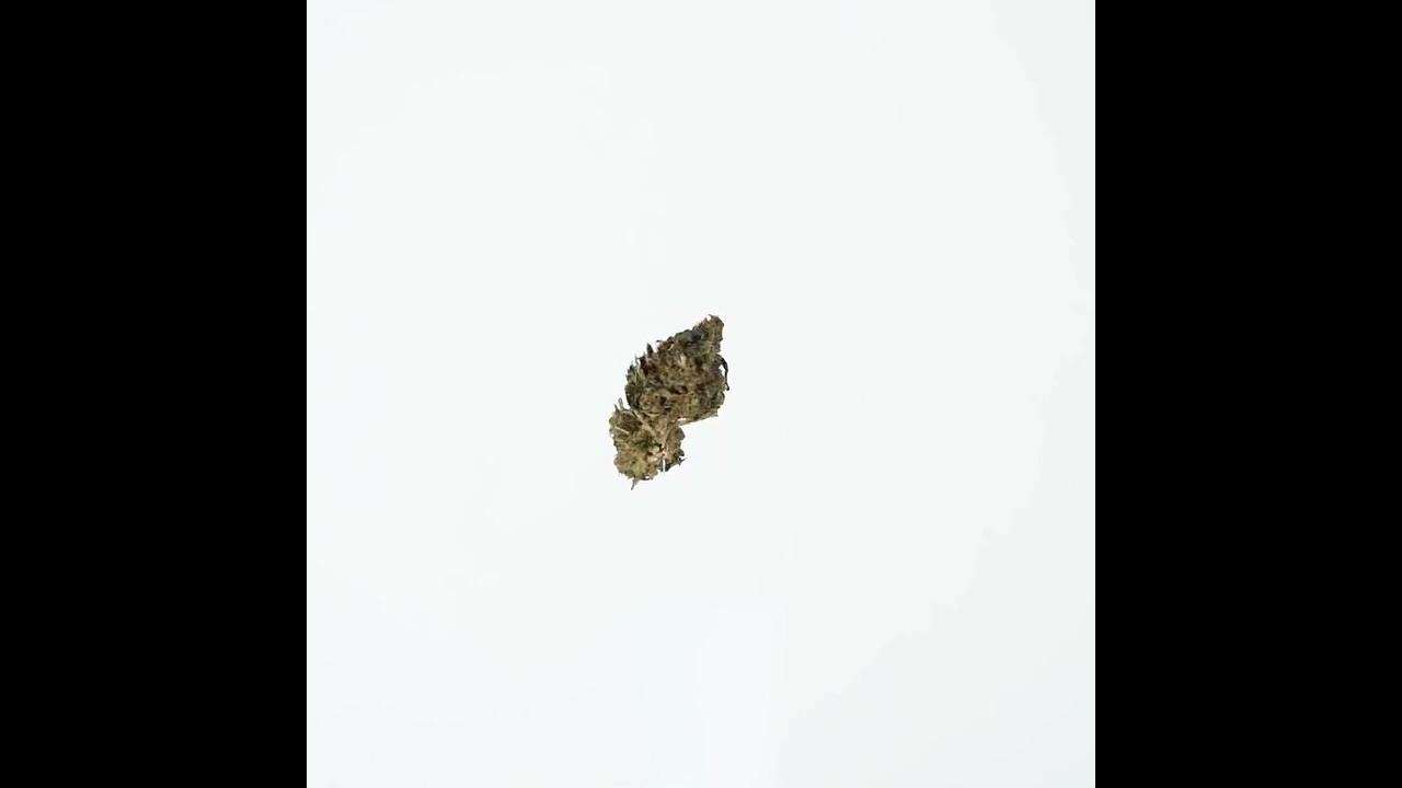 OG Kush CBD l Hermosa CBD