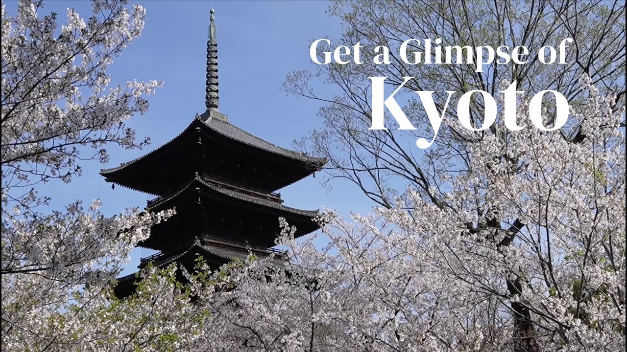 KYOTO, dive into traditional Japan | 5min travel video