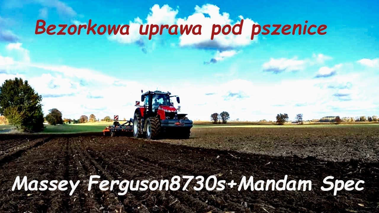 Gospodarzowy vlog #77-Bezorkowa uprawa pod pszenicę po kukurydzy