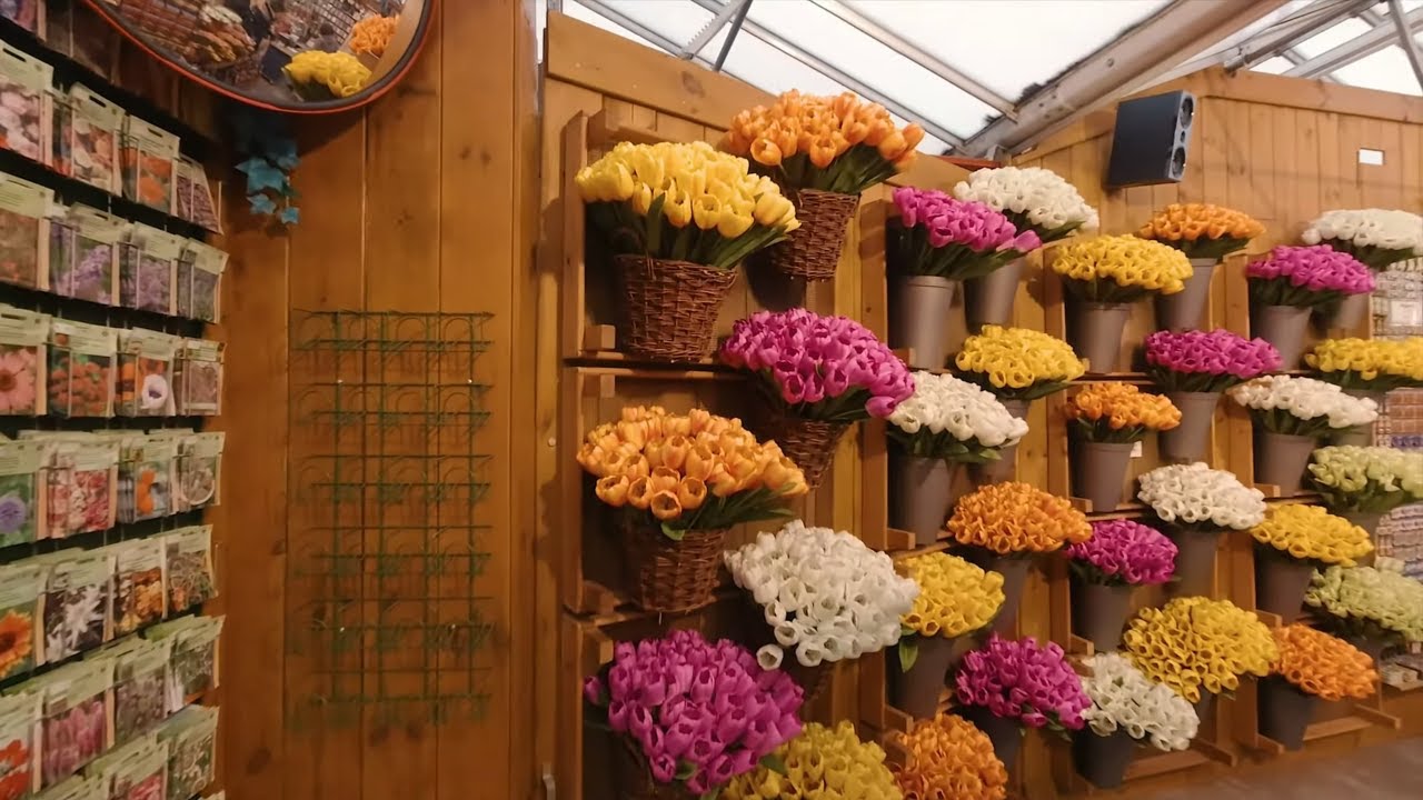 Bloemenmarkt in Holland - Flower Market in Amsterdam