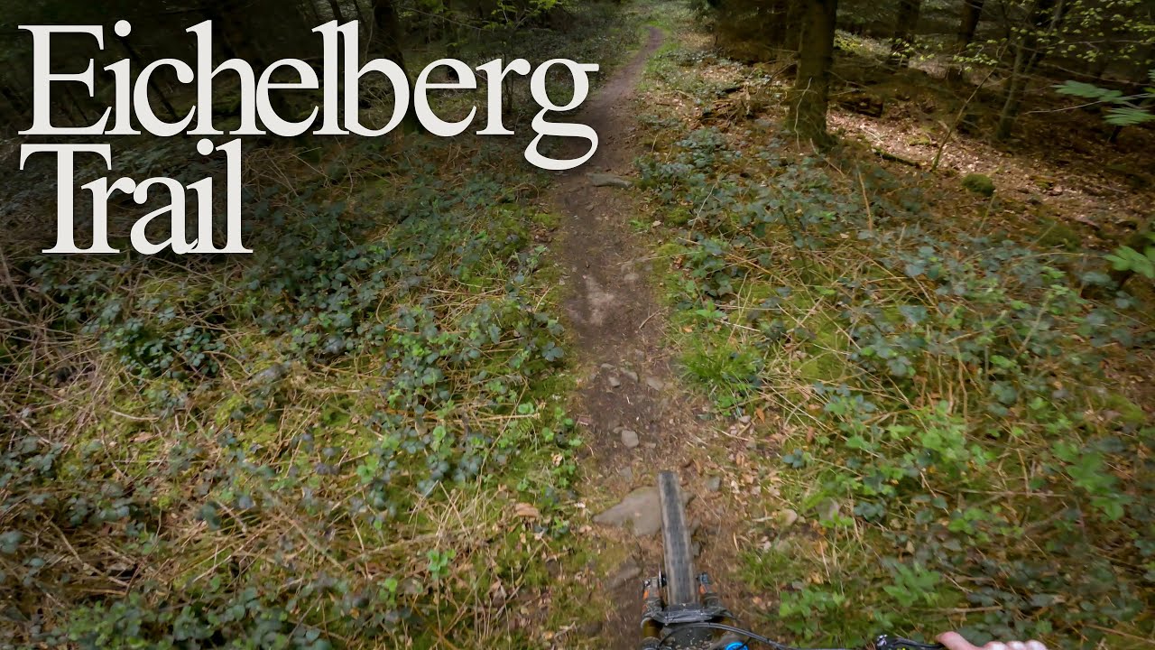 Eichelberg Trail POV | Black Forest