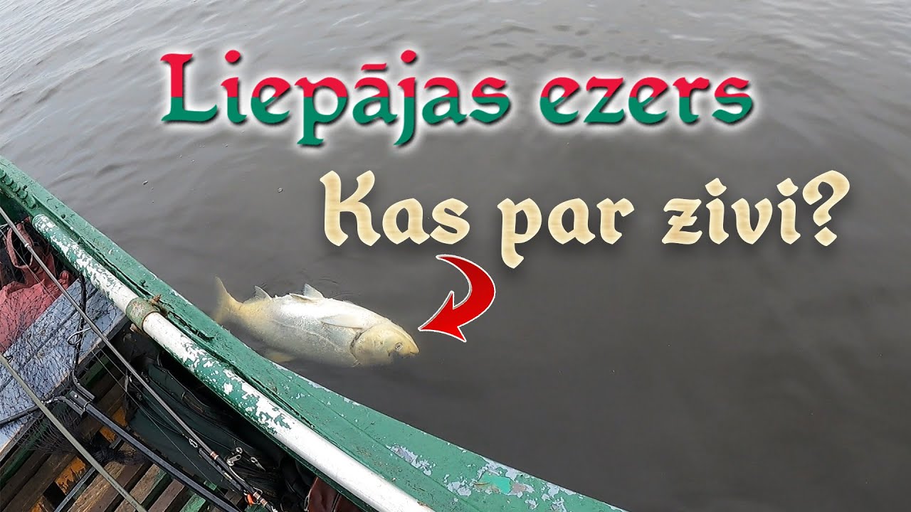 Liepājas ezers - 8.06.2025.
