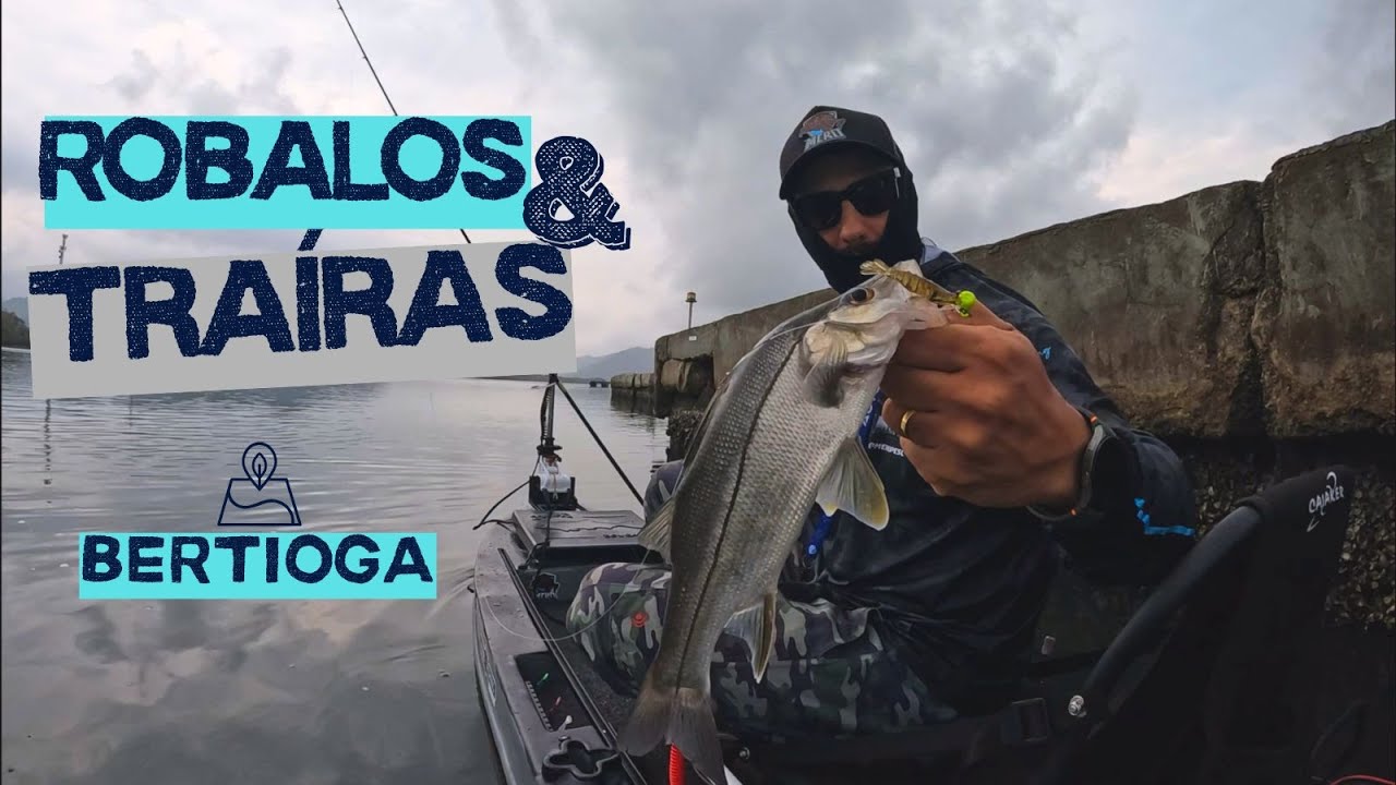 Robalos e Traíras em BERTIOGA de caiaque dourado pró!!! Pescaria no rio Itapanhaú