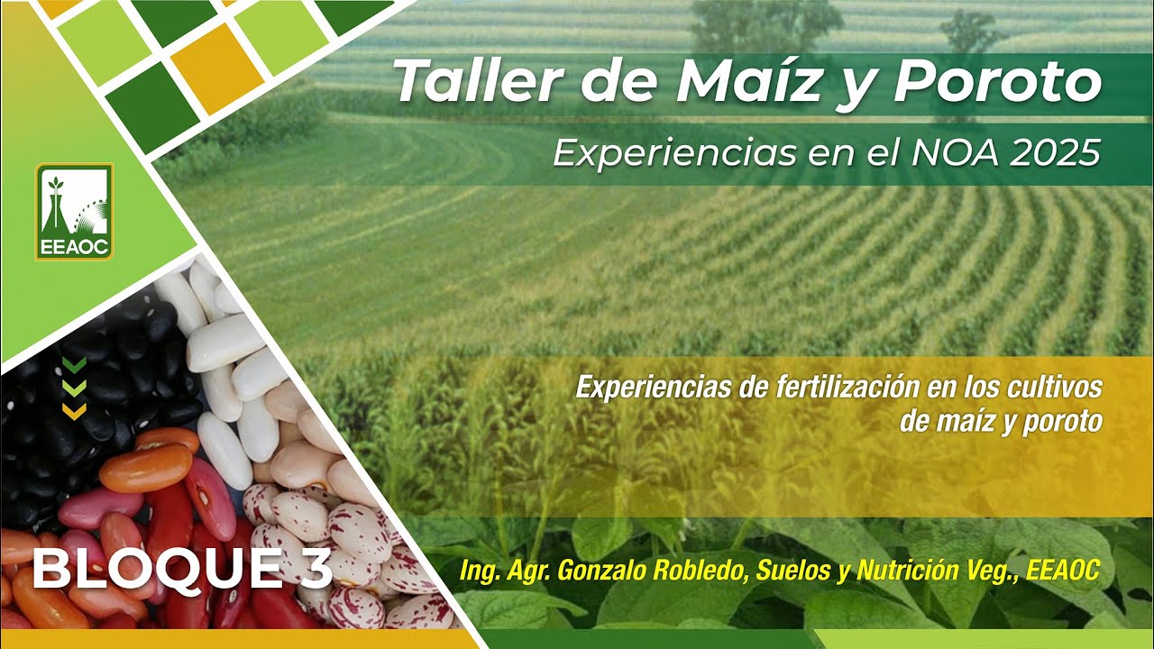 7-Experiencias de fertilización en los cultivos de maíz y poroto. Gonzalo Robledo.