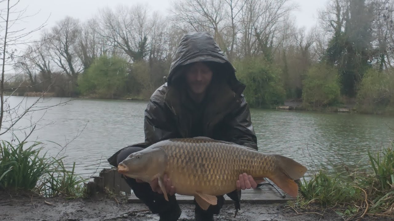 Carp fishing the park lake 🎣#commoncarp #fishing #carpfishing #carp #fish #parkerbaits #parklake 