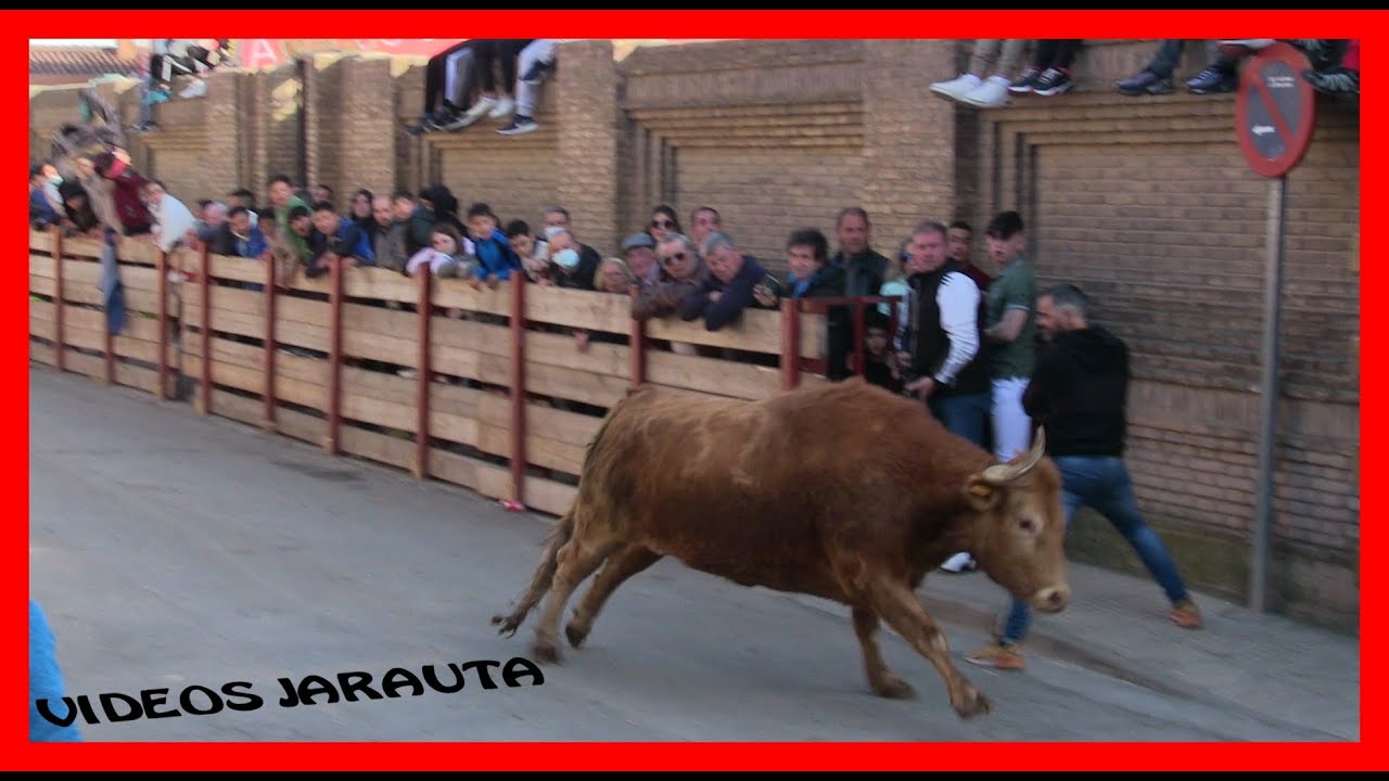 CASTEJÓN  (NAVARRA)  TARDE VACAS EN CALLE  (SABADO 9 ABRIL 2022)  HNOS.MAGALLON