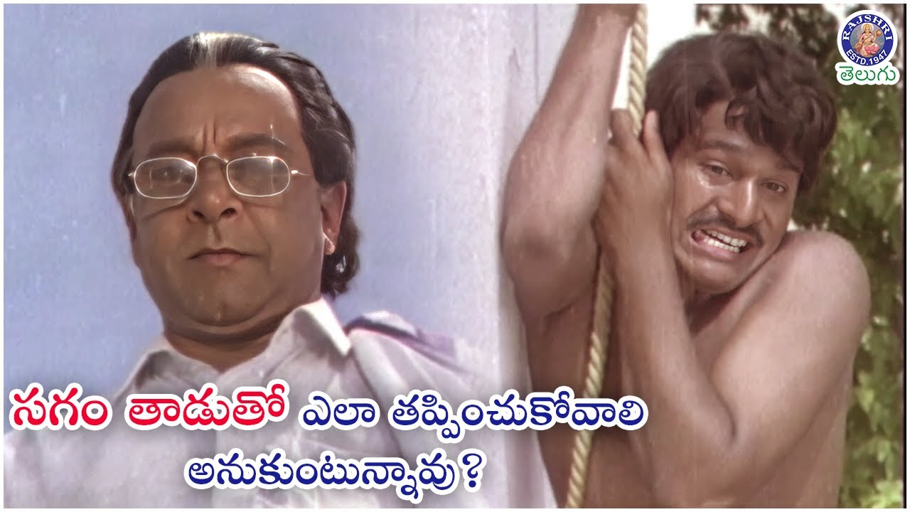 సగం తాడుతో ఎలా తప్పించుకోవాలి అనుకుంటున్నావు? | Rajendra Prasad & Kanaka Best Action Scene